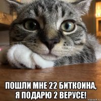  пошли мне 22 биткоина, я подарю 2 верусе!