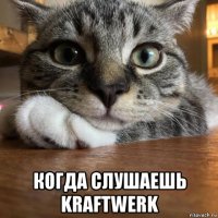  когда слушаешь kraftwerk