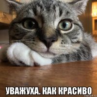  уважуха. как красиво