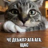  чё дебил? ага ага. щас