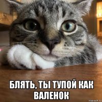  блять, ты тупой как валенок