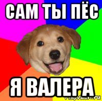 сам ты пёс я валера