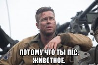  потому что ты пёс, животное.