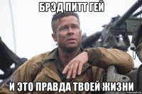 брэд питт гей и это правда твоей жизни