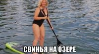  свинья на озере