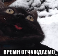  время отчуждаемо