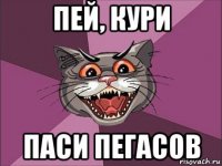 пей, кури паси пегасов