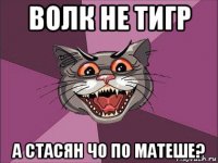 волк не тигр а стасян чо по матеше?