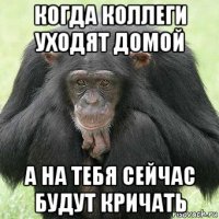 когда коллеги уходят домой а на тебя сейчас будут кричать
