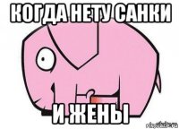 когда нету санки и жены