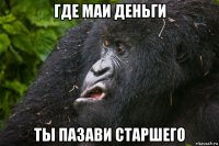 где маи деньги ты пазави старшего