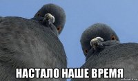  настало наше время