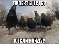 проекты есть? а если найду?