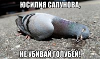 юсилия сапунова, не убивай голубей!