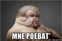  mne poebat'