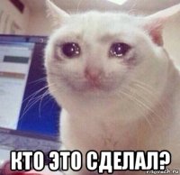  кто это сделал?