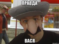 правда вася