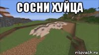 сосни хуйца 