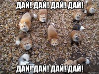 дай! дай! дай! дай! дай! дай! дай! дай!