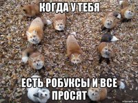 когда у тебя есть робуксы и все просят