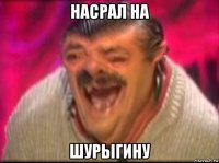 насрал на шурыгину