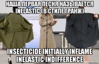 наша первая песня называется inelastic (в стиле гранж) insecticide initially inflame inelastic indifference