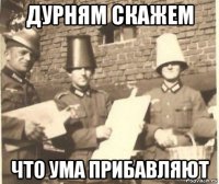 дурням скажем что ума прибавляют