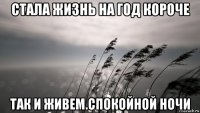 стала жизнь на год короче так и живем.спокойной ночи