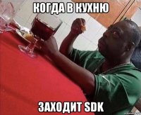 когда в кухню заходит sdk