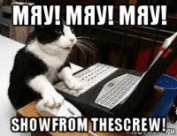мяу! мяу! мяу! showfrom thescrew!