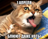 1 апреля блюют даже коты
