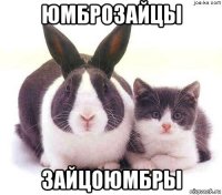 юмброзайцы зайцоюмбры
