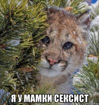  я у мамки сексист