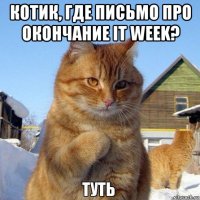 котик, где письмо про окончание it week? 