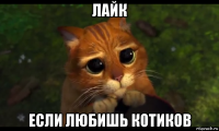 лайк если любишь котиков