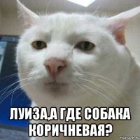  луиза,а где собака коричневая?