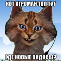 кот игроман топ тут где новые видосы?