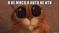 я не мясо я кото не ити 