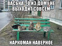 васька-то из дому не выходит совсем наркоман наверное