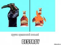  destroy
