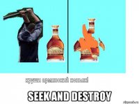  seek and destroy