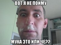 вот я не пойму мука это или че??