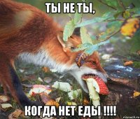ты не ты, когда нет еды !!!!