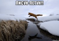 лисун-летун!! 