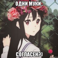 одни муки.. согласен?)