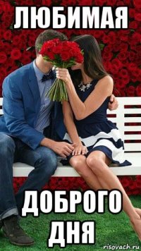любимая доброго дня