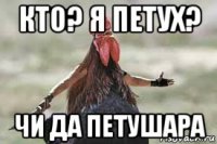 кто? я петух? чи да петушара