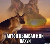  антон цымбал иди нахуй