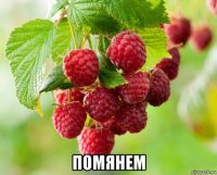  помянем