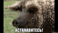  астанавитесь!